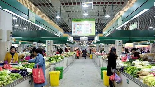 路橋食光 共享美味，打造農產品批發新生態