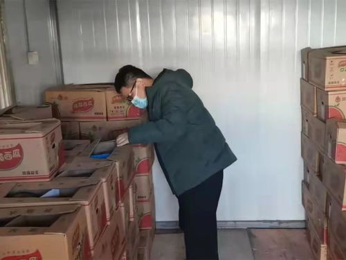 衡水推進食用農產品批發市場規范化建設，守護市民“菜籃子”安全